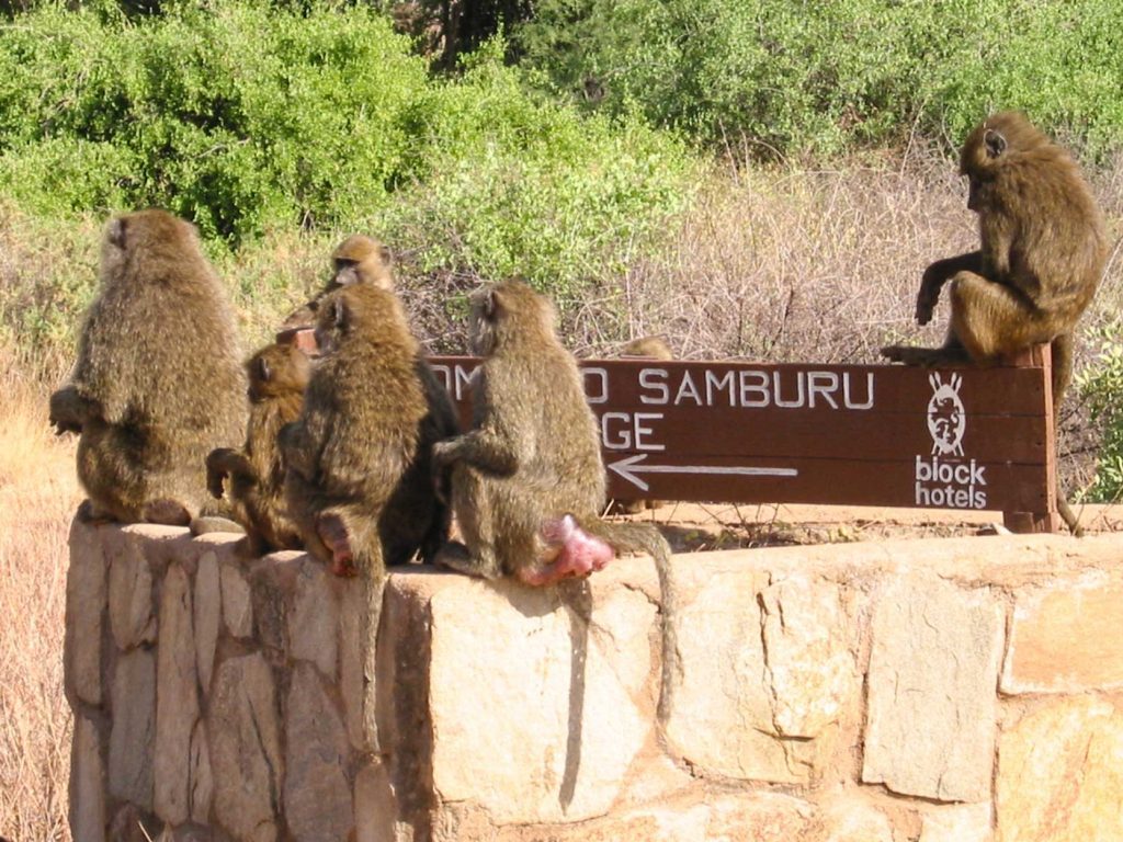 FABE-TRAVEL-Kenya-Samburu